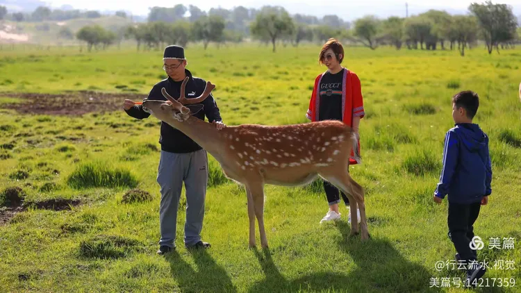 乌兰布统皇家鹿苑